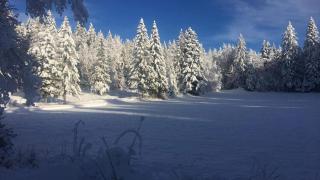Gîte des lacs et cascades - Bonlieu - 6