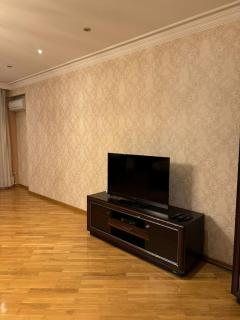 Apartment at the central Baku - Bakoe - 4