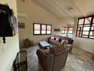 Apartments and rooms Murage 2369 - Barbariga - 9