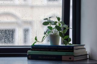 Fabulous Modern Studio in Central Hastings - Hastings - 8