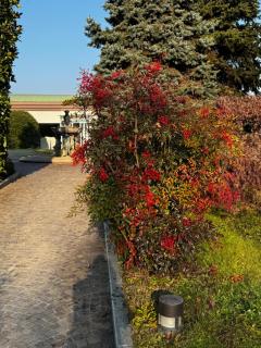 Parco Hotel Sassi - Turin - 9