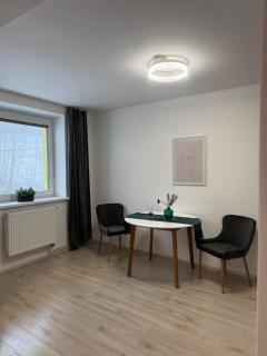 Black & White Apartments, Mýtinka, Jeseník - Jeseník - 7