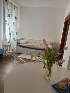 Apartamente strada Eneas 100 - Timişoara - 1