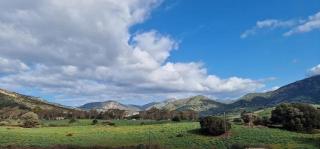 Les collines de lava - Appietto - 5