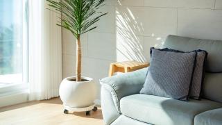 Namhae Mansion Morak - Namhae - 9
