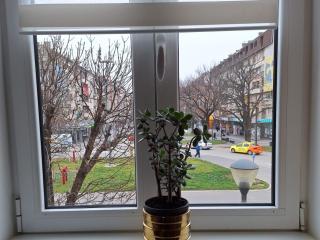 Stan na dan gradsko sokace - 5