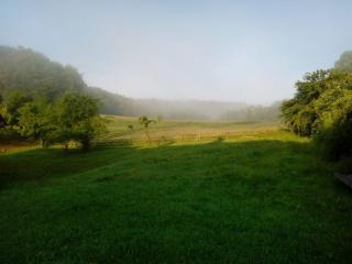 Pferdehof in der Oststeiermark - - 6