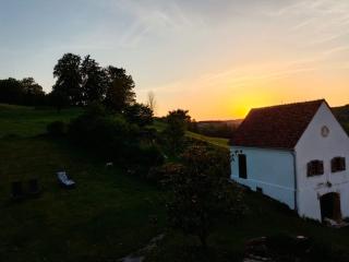 Pferdehof in der Oststeiermark - - 4