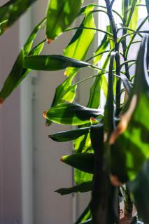 Appartement cosy avec balcon & parking à 2 pas de Bordeaux - Bègles - 2