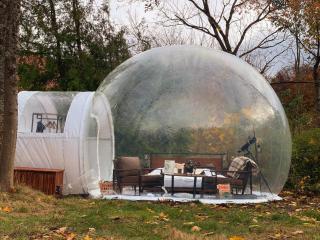 Hotel Harzresidenz - Thale - 9