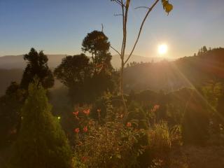 Yogi Greenwood Cottage - 2