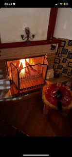 Aria Guesthouse - 1