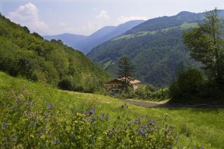 Prackfolerhof - Fie allo Sciliar - 9