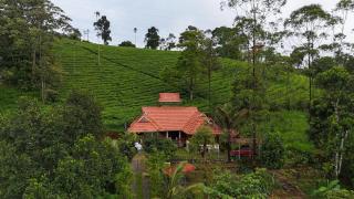 Traditional Villa - Munnar - 0