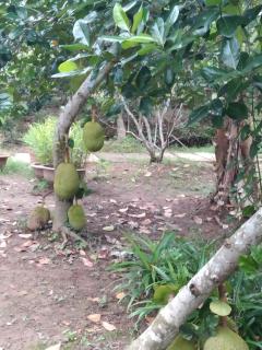 Quoc Phuong Riverside Homestay - Ben Tre - 3