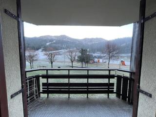 Studio confortable avec balcon, animaux acceptés, Le Lioran - FR-1-787-99 - Laveissière - 8