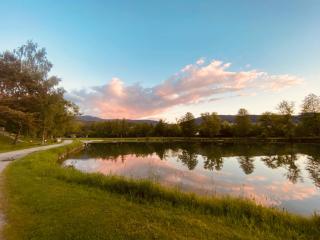 Haus Sonnenblick - 7