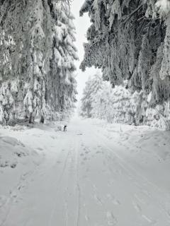 Chata Jelení dřevěnice s vlastní vířivkou - 3