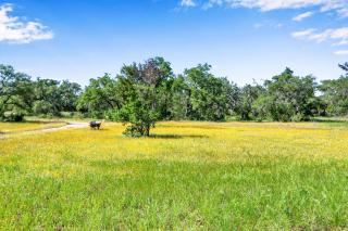 The Pineapple Ranchette - 1