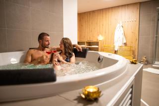 Amenity Penzion Horni Vestonice - 1