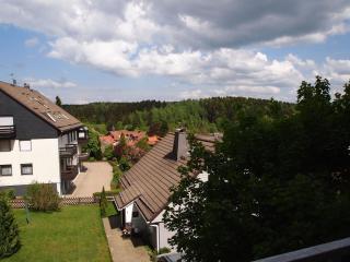 Apartment Schimmer - Braunlage - 0