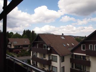 Ferienwohnung Schimmer 27 - Braunlage - 9