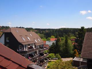 Ferienwohnung Schimmer Wurmbergblick - Braunlage - 0