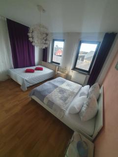 Familienfreundliche Ferienwohnung Erzgebirge - Schneeberg - 1