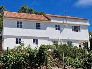 Quinta Dos Kiwis - Sertã - 4