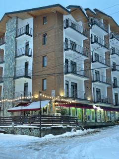 Tride Bakuriani ბაკურიანი - სახლი წრეზე - 8