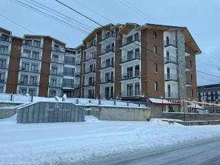 Tride Bakuriani ბაკურიანი - სახლი წრეზე - 7