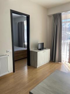 Tride Bakuriani ბაკურიანი - სახლი წრეზე - 5