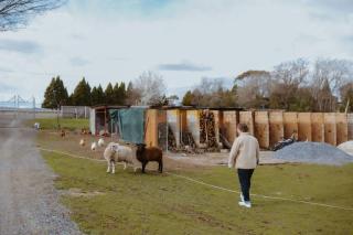 Sunset Haven by Tiny Away - Longford - 8