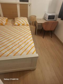 Chambre privée chez l'habitant - Longvic - 9