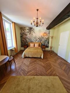 Maison Bourgeoise classée 3 étoiles à 100 m des Bords de Loire avec parkings privés - Orléans - 9