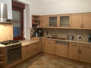 Vienna Gate Apartment - Budapest - 3