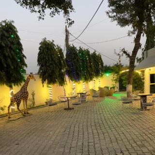 Serene Haven - 9