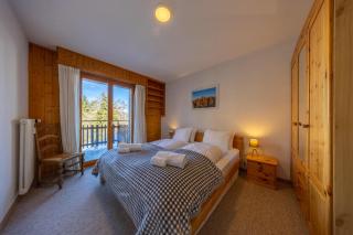 Ecluses 15 - close to ski lift & centre - Nendaz - Nendaz - 1