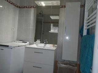 Appartement 2p terrasse beau parc Gambetta-Fleurs - 7