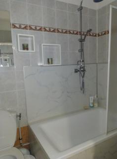 Appartement 2p terrasse beau parc Gambetta-Fleurs - 6