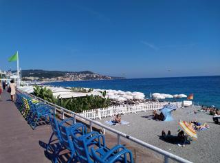 Appartement 2p terrasse beau parc Gambetta-Fleurs - 5