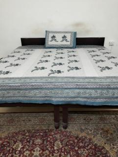Good Spacious House with lawn - Noida - 2