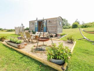Lillie's Shepherds Hut at Shepherds Lodge - Nottingham - 0
