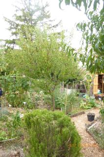 Ecolieu La pépinière - Carnoux - 3