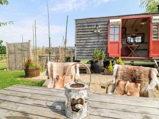 Bonnie's Shepherds Hut at Shepherds Lodge - Nottingham - 7