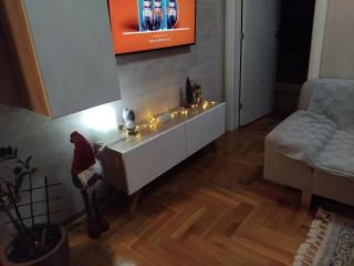 Flat Kosutnjak 9 - Belgrado - 6
