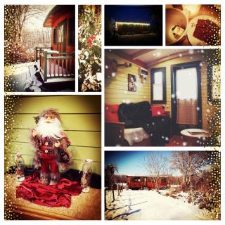 Roulotte & Forêt - Evasion Bohème en Bourgogne - 9