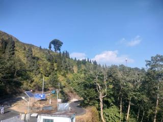 Mountain View Hillside Homestay Kalimpong, Between Deolo Park & Ramdhura - Kalimpong - 8