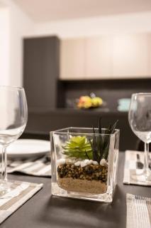 Beautiful Modern Central 2BR Apt - 3