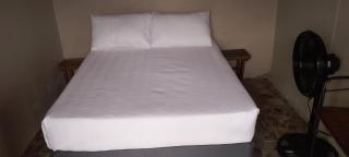 Oribi Farm Stay - Port Shepstone - 7